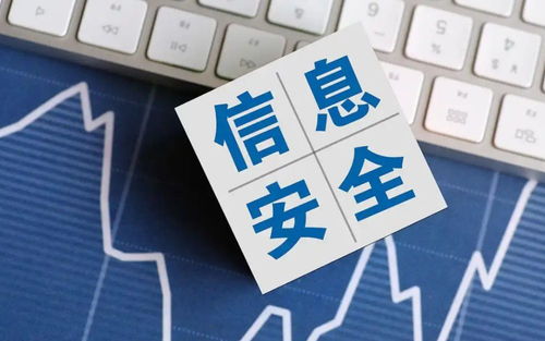 2025年國家網絡安全宣傳周 聚焦網絡與信息安全軟件開發